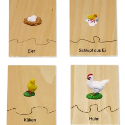 TimeTEX Lebenszyklus eines Huhns, in Holzbox "Montessori Premium"