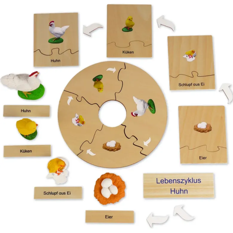 TimeTEX Lebenszyklus eines Huhns, in Holzbox "Montessori Premium"