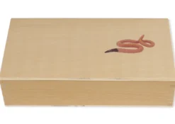 TimeTEX Lebenszyklus eines Regenwurms, in Holzbox
