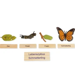 TimeTEX Lebenszyklus eines Schmetterlings, in Holzbox "Montessori Premium"