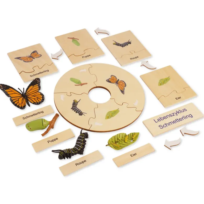 TimeTEX Lebenszyklus eines Schmetterlings, in Holzbox "Montessori Premium"