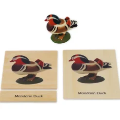 TimeTEX Mini-Tiere-Set Asien "Montessori Premium"