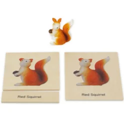 TimeTEX Mini-Tiere-Set Europa