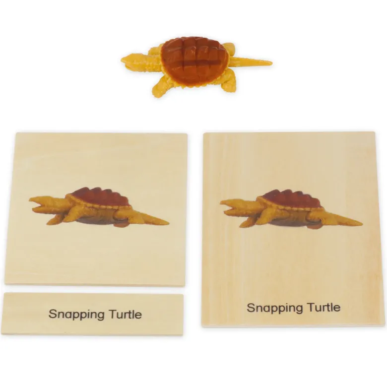 TimeTEX Mini-Tiere-Set Nordamerika "Montessori Premium"