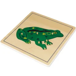 TimeTEX Puzzle Frosch 