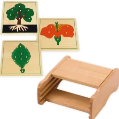 TimeTEX Set Botanische Puzzle mit Kasten 