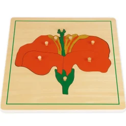 TimeTEX Set Botanische Puzzle mit Kasten 