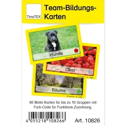 TimeTEX Team-Bildungs-Karten, 60-tlg. im Etui