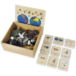 TimeTEX Tier-Kontinent-Box 