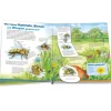 WAS IST WAS Junior Band 34 "Bienen, Wespen, Hummeln", 20 Seiten