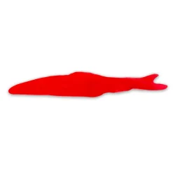 Wunderfisch