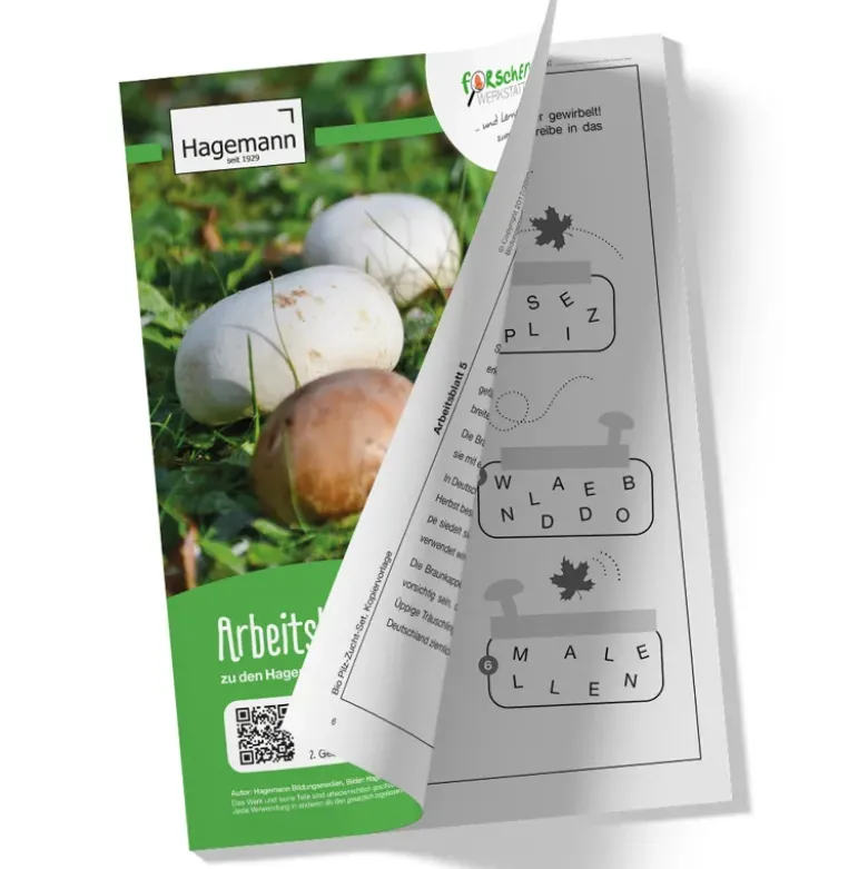 Zuchtset "Champignons weiß", Pilze