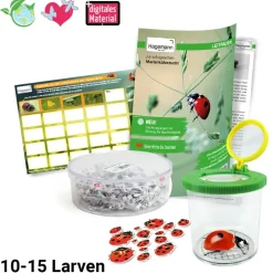 Zuchtset 