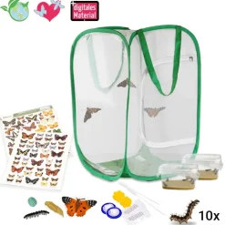Zuchtset "Schmetterlinge", groß mit XXL-Voliere, 12-tlg.