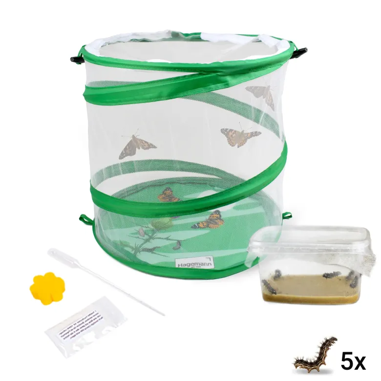 Zuchtset "Schmetterlinge", Starter-Set, 5-tlg.