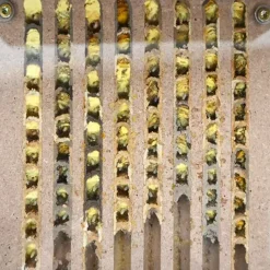 Zuchtset "Wildbienen" kompakt, Rote Mauerbiene, 4-tlg.