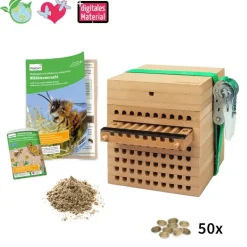 Zuchtset "Wildbienen mit Kokons", Rote Mauerbiene, 5-tlg.
